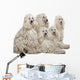 White Corded Standard Poodle Wall Decal