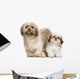 Mother Shih Tzu and Wall Decal