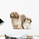 Mother Shih Tzu and Wall Decal