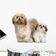 Mother Shih Tzu and Wall Decal