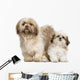 Mother Shih Tzu and Wall Decal