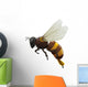 Bee - Insect Wall Decal