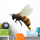 Bee - Insect Wall Decal