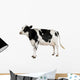 Holstein Cow Against White Background Wall Decal