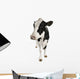 Holstein Cow Wall Decal