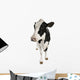 Holstein Cow Wall Decal