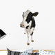Holstein Cow Wall Decal