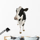 Holstein Cow Wall Decal