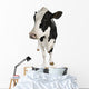 Holstein Cow Wall Decal