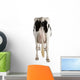 Holstein Cow Against White Background Wall Decal