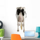 Holstein Cow Against White Background Wall Decal