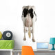 Holstein Cow Against White Background Wall Decal