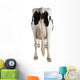 Holstein Cow Against White Background Wall Decal