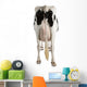 Holstein Cow Against White Background Wall Decal