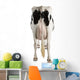 Holstein Cow Against White Background Wall Decal