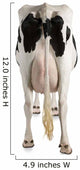Holstein Cow Against White Background Wall Decal