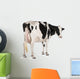 Holstein Cow against White Wall Decal