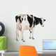 Holstein Cow against White Wall Decal