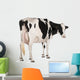 Holstein Cow against White Wall Decal