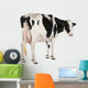 Holstein Cow against White Wall Decal