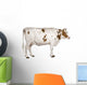 Holstein cow, 4 years old, standing against white background Wall Decal