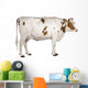 Holstein cow, 4 years old, standing against white background Wall Decal