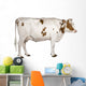 Holstein cow, 4 years old, standing against white background Wall Decal