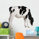 Farm Decals - Holstein cow, 13 months old, standing against white background Wall Decal