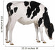 Farm Decals - Holstein cow, 13 months old, standing against white background Wall Decal
