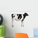 Holstein cow, 13 months old, standing against white background Wall Decal