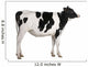 Holstein cow, 13 months old, standing against white background Wall Decal