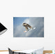 Snowboarder Air Wall Mural
