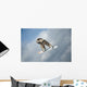 Snowboarder Air Wall Mural