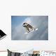 Snowboarder Air Wall Mural