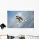Snowboarder Air Wall Mural