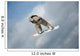 Snowboarder Air Wall Mural