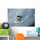 Snowboarder Trick Wall Mural