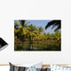 Backwaters Kerala Wall Decal