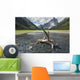 A Clear Stream Flows Into Glacier Lake Wall Mural