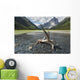 A Clear Stream Flows Into Glacier Lake Wall Mural