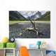 A Clear Stream Flows Into Glacier Lake Wall Mural