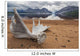 Moose Antler Laying On The Shores Of Little Doctor Lake Wall Mural