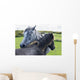Horses on a lush green field Wall Mural