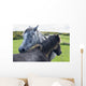 Horses on a lush green field Wall Mural