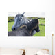 Horses on a lush green field Wall Mural