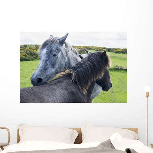 Horses on a lush green field Wall Mural