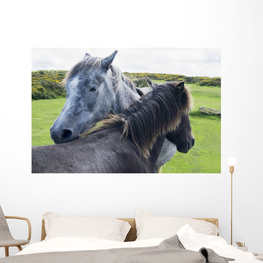 Horses on a lush green field Wall Mural