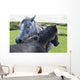 Horses on a lush green field Wall Mural