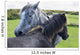 Horses on a lush green field Wall Mural