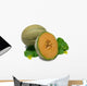 Cantaloupe Wall Decal